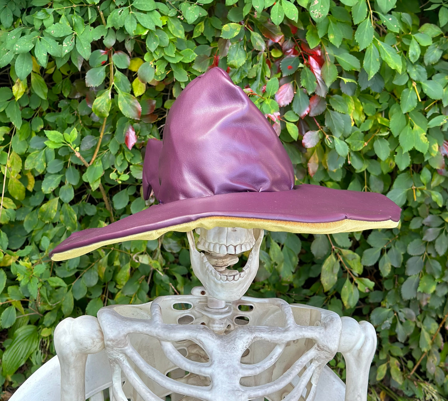 Costume/Cosplay Hats