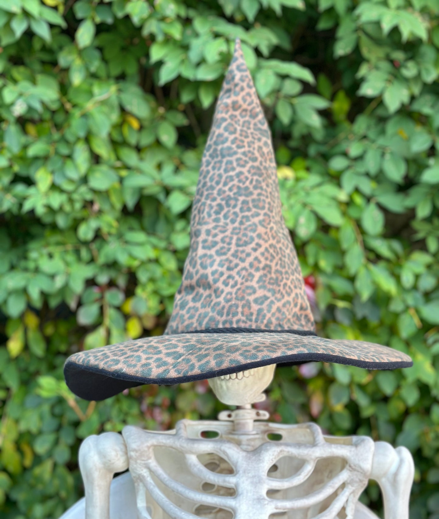 Costume/Cosplay Hats