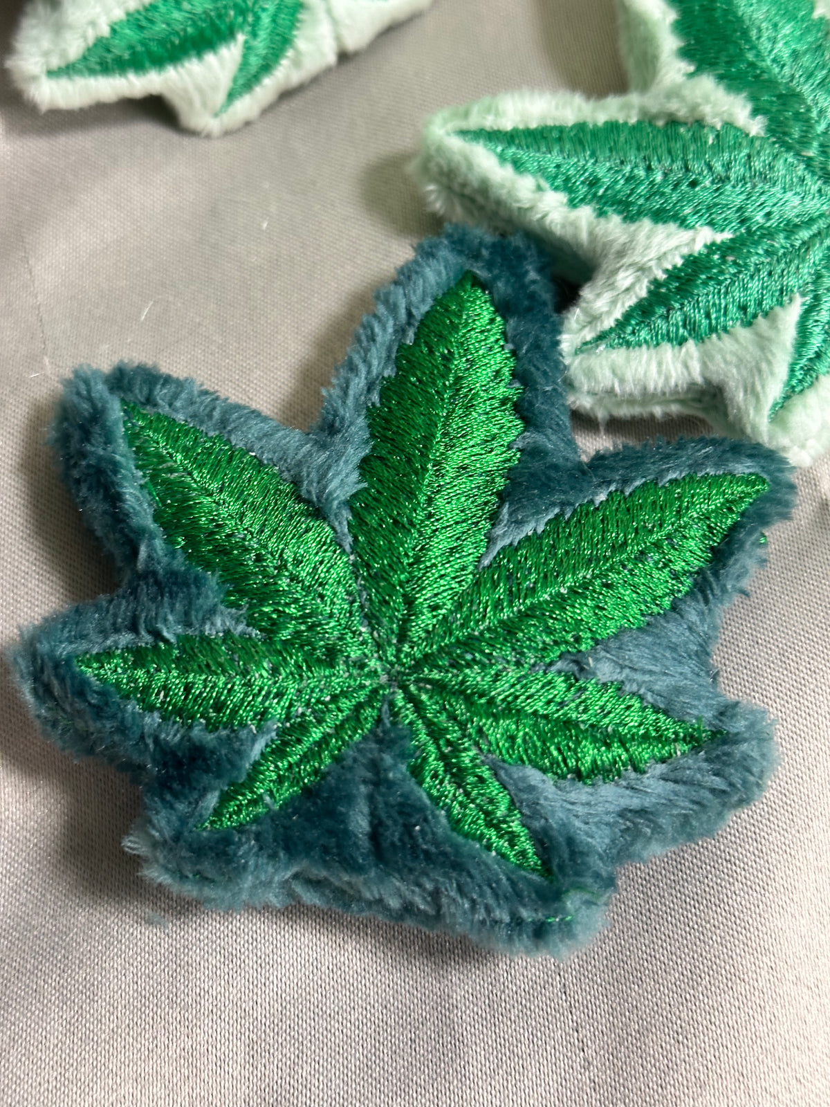 Canna Leaf Collection