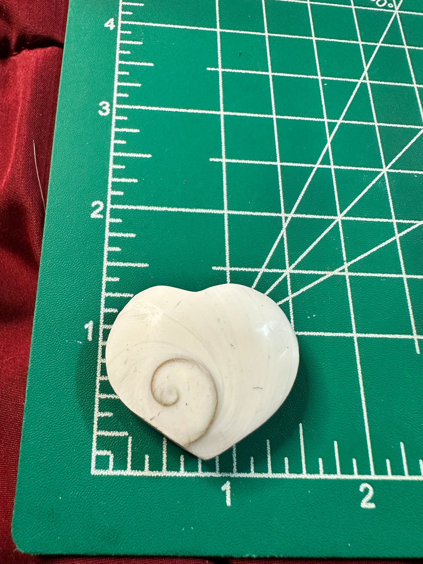 Sun Shell Hearts