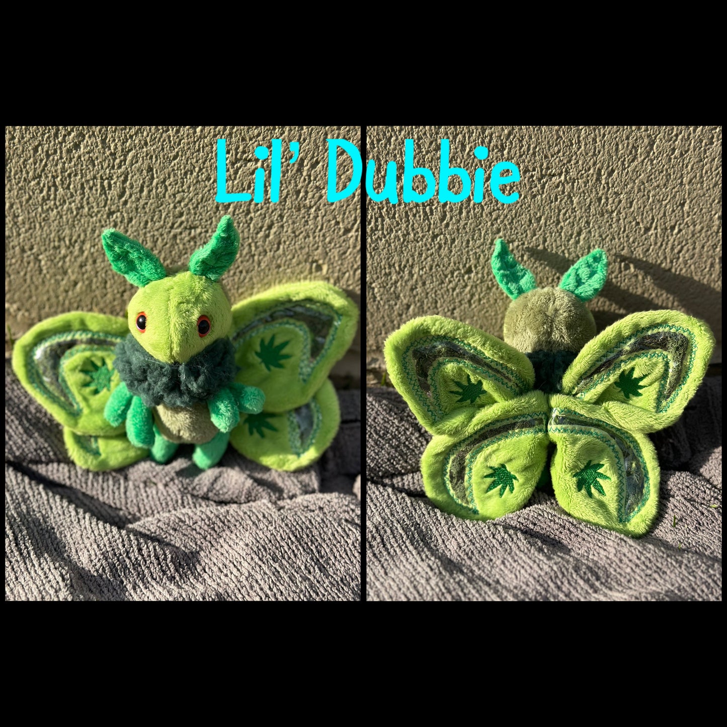 Mini Moth & Butterfly Collection
