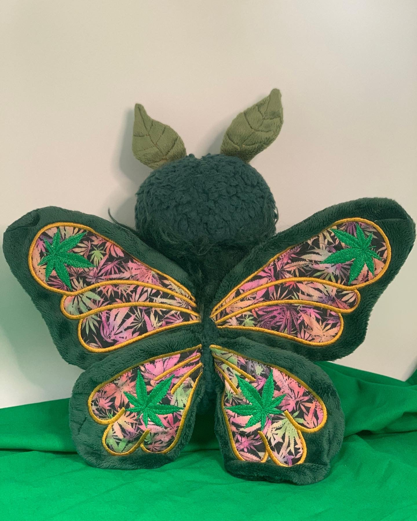 Mary Jane the Canna Moth