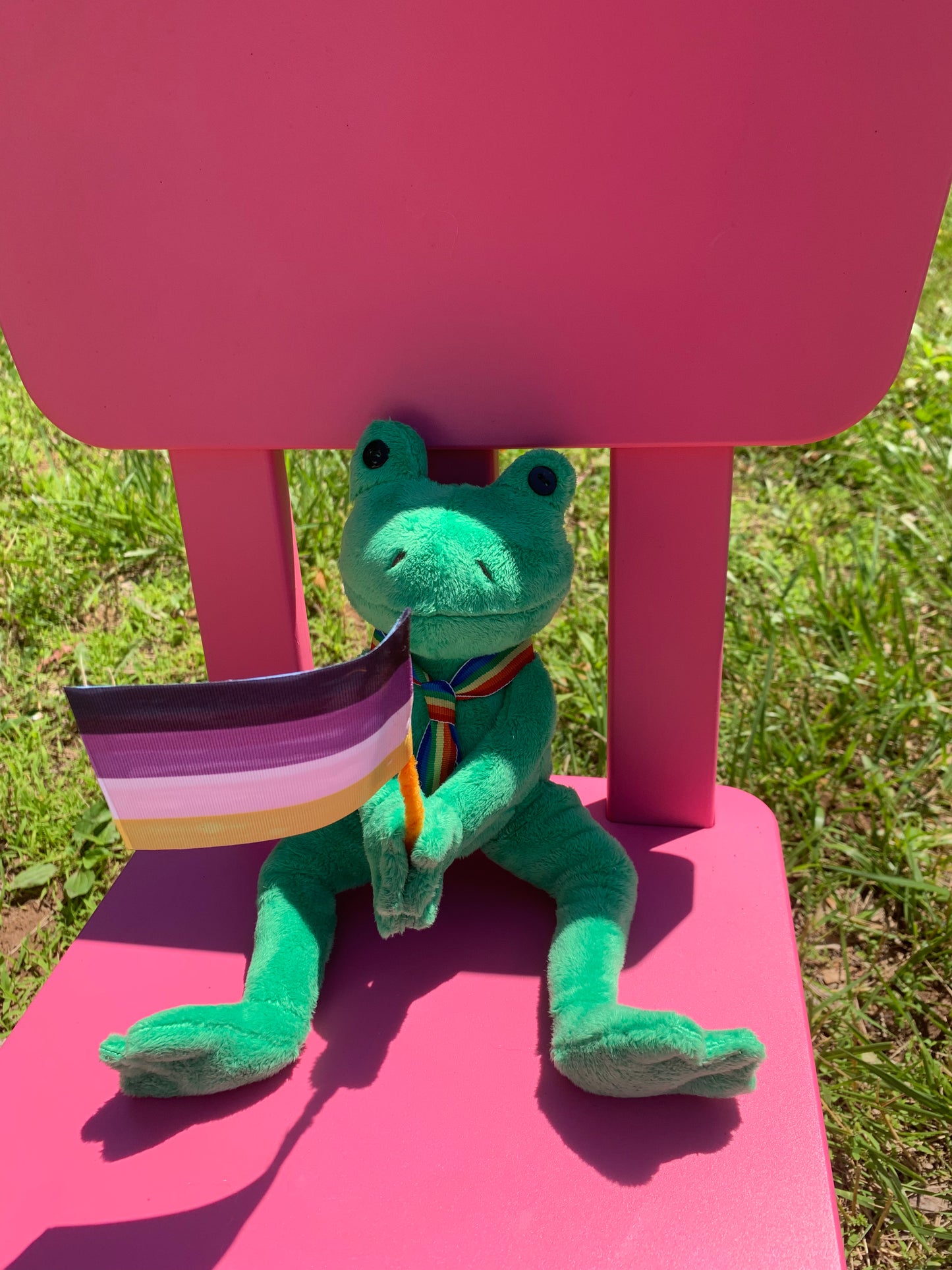 Pride Frog Collection