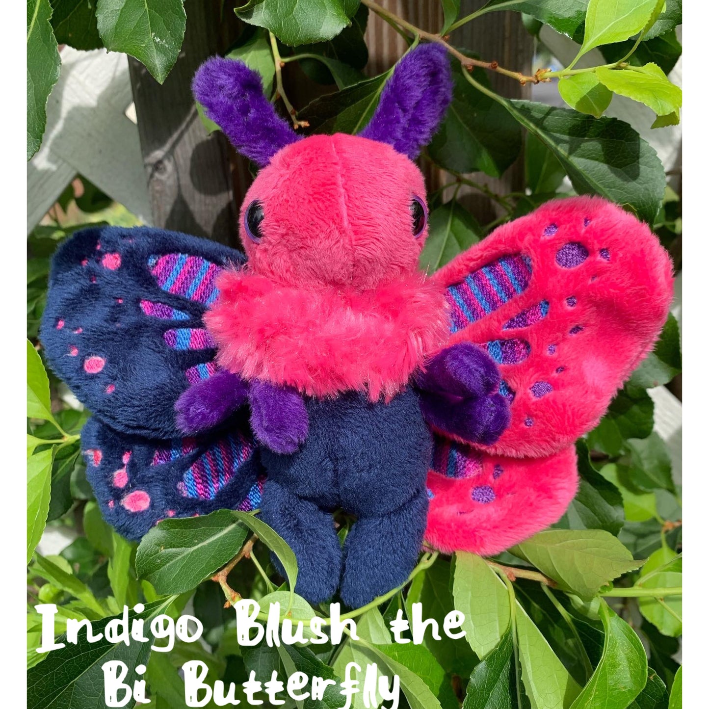 Mini Moth & Butterfly Collection
