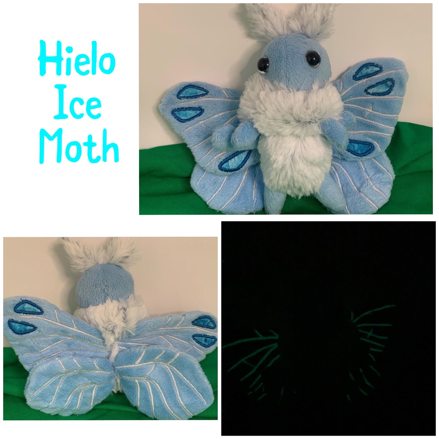 Mini Moth & Butterfly Collection
