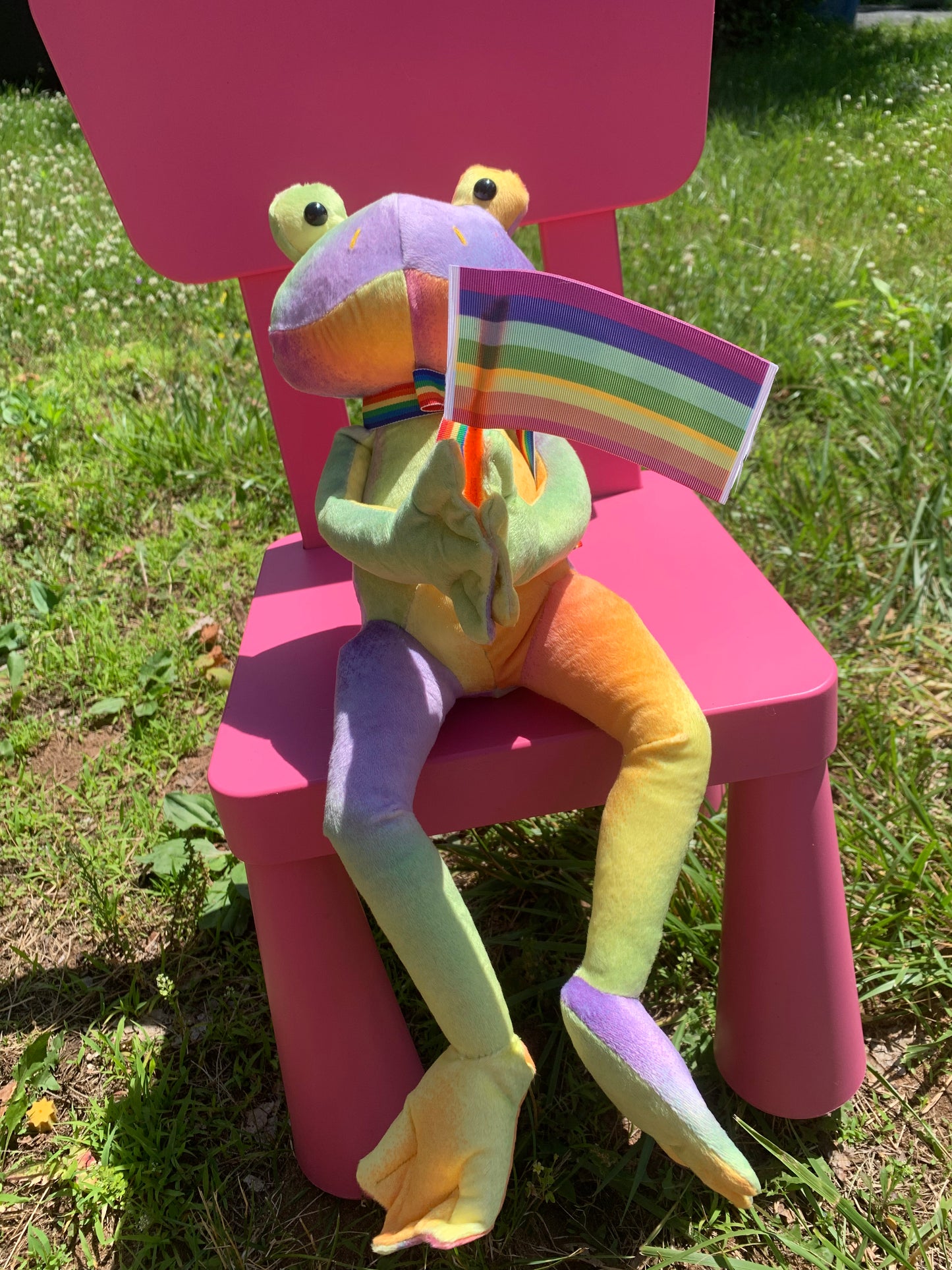 Pride Frog Collection