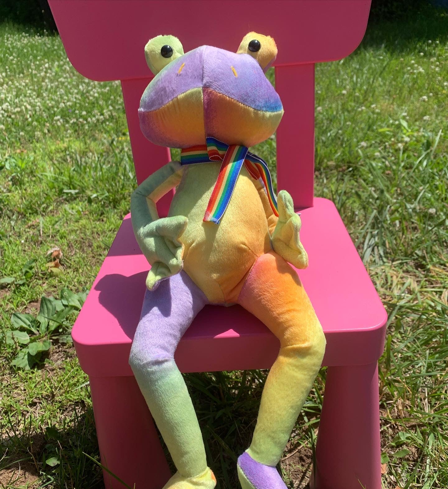 Pride Frog Collection