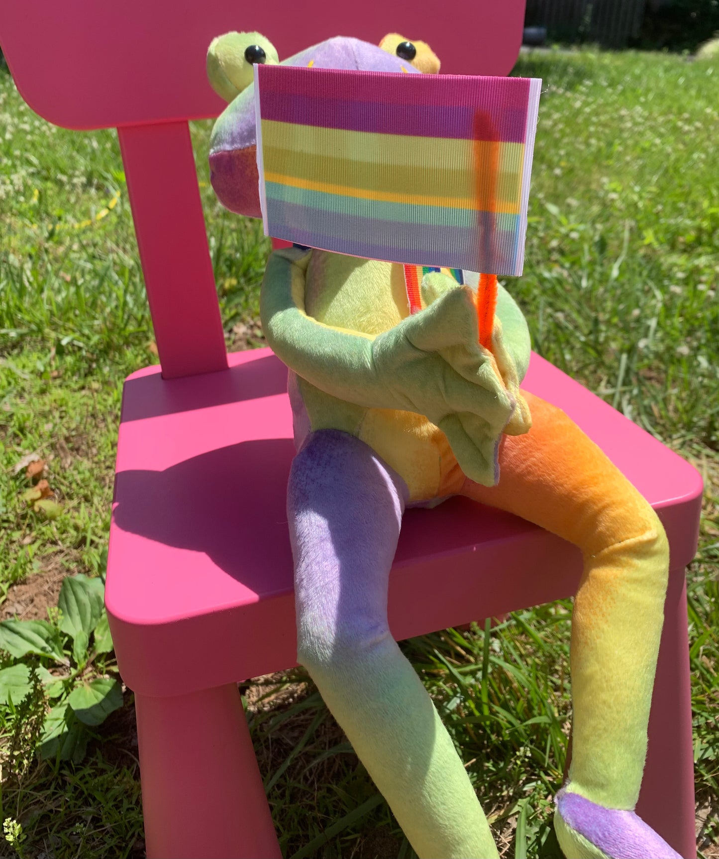 Pride Frog Collection