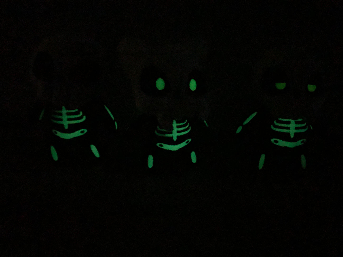 Skeleton Buddies