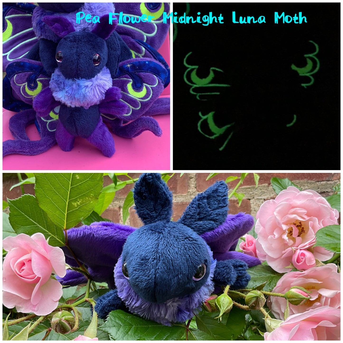 Mini Moth & Butterfly Collection