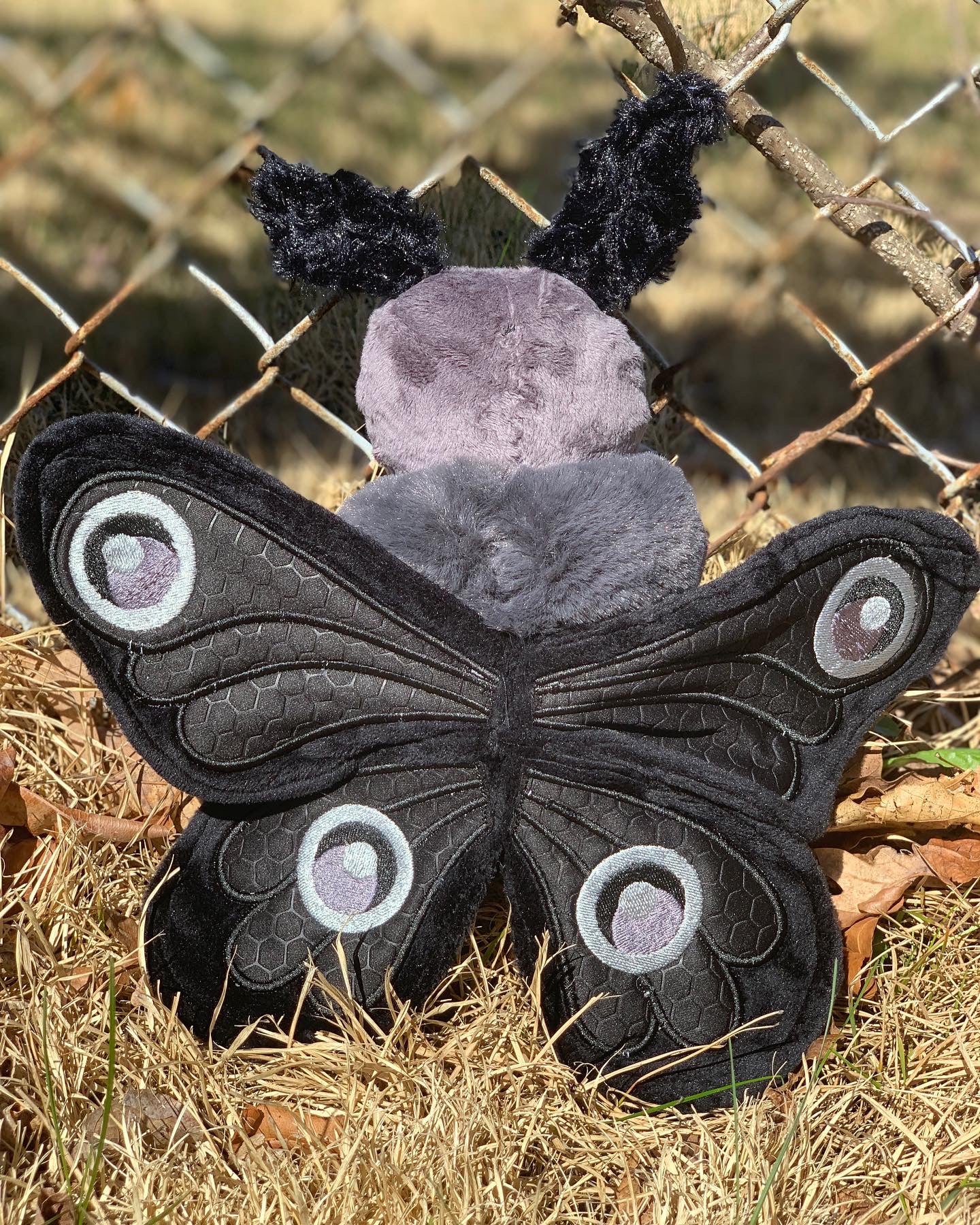 Ristretto Mothman