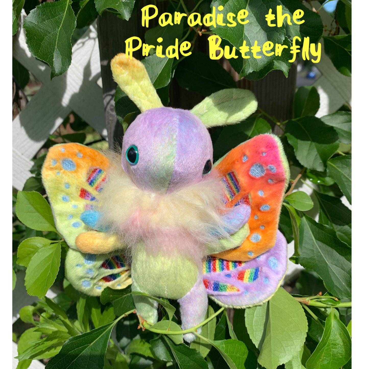 Mini Moth & Butterfly Collection