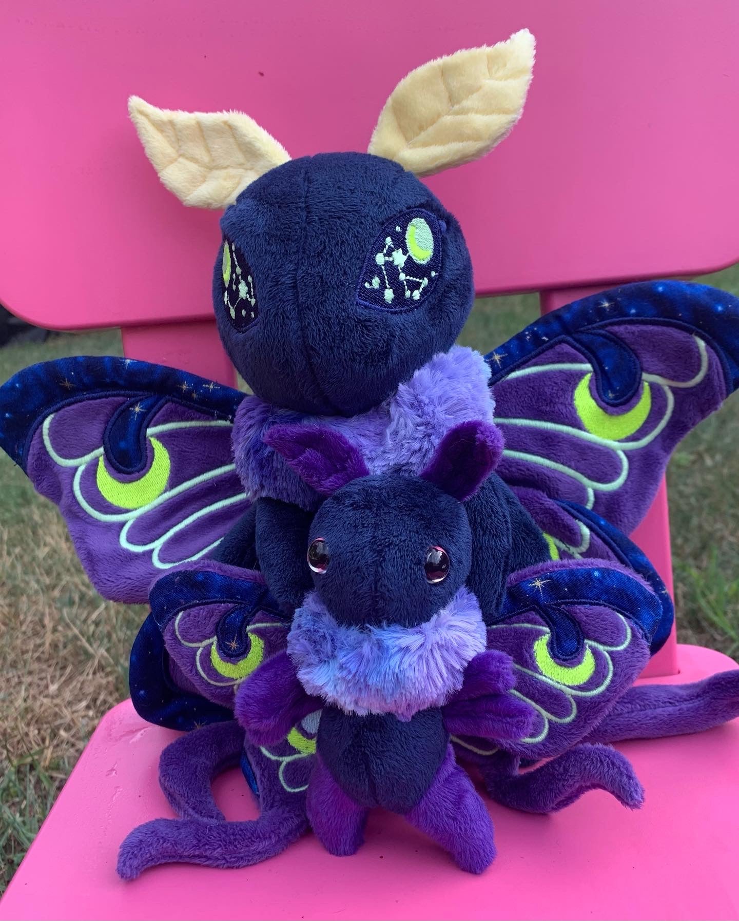 Sangria Midnight Luna Moth