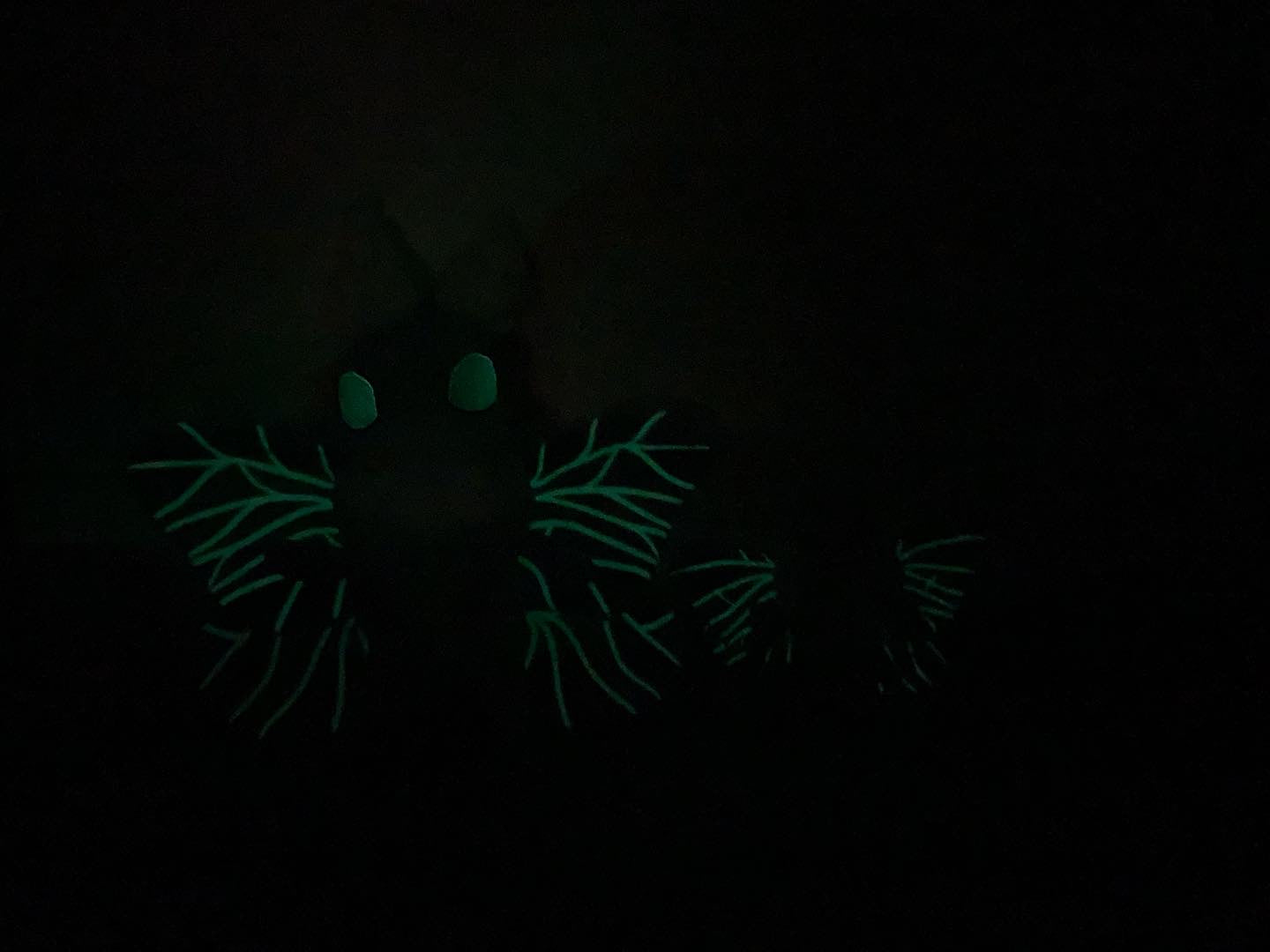 Helada Ice Moth