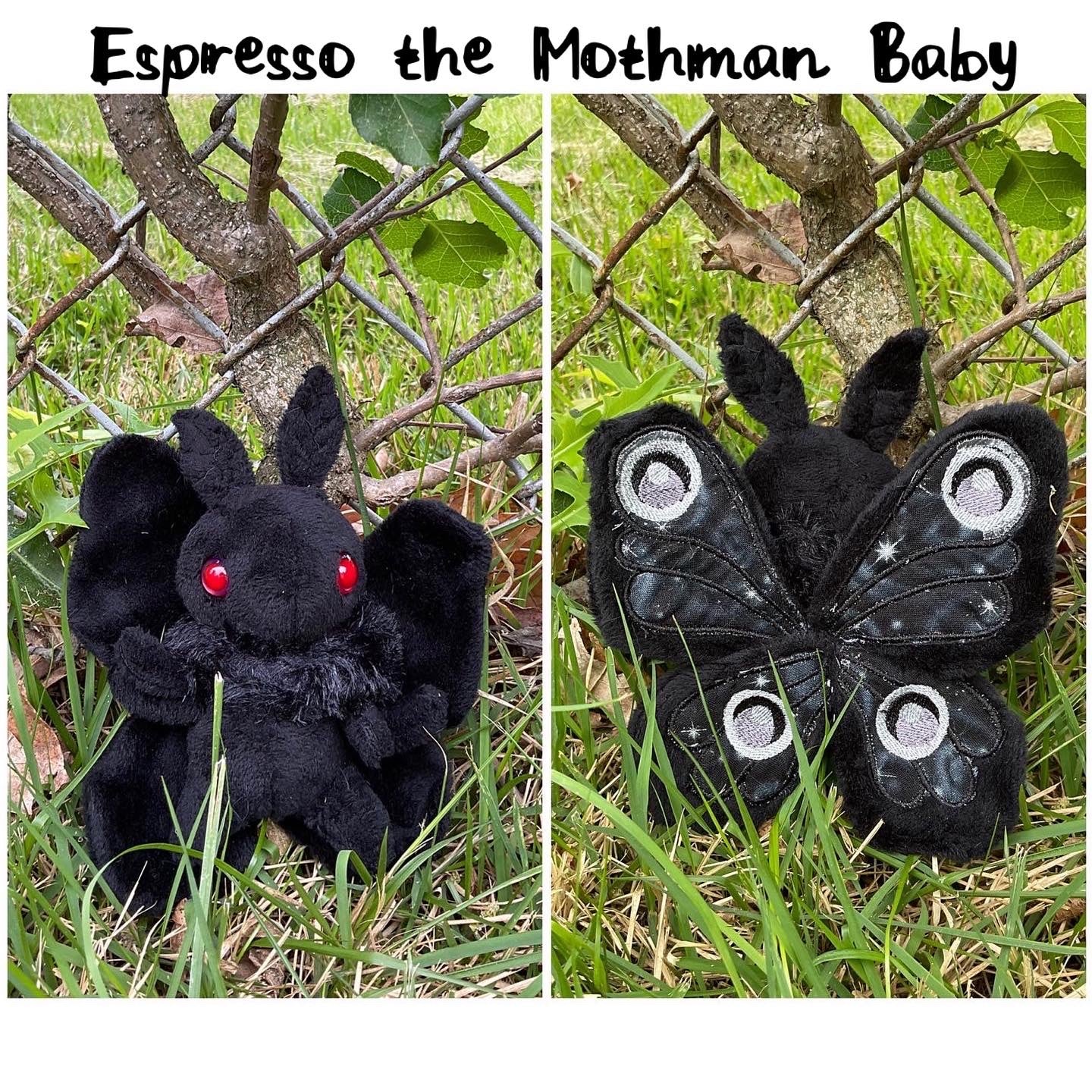 Mini Moth & Butterfly Collection