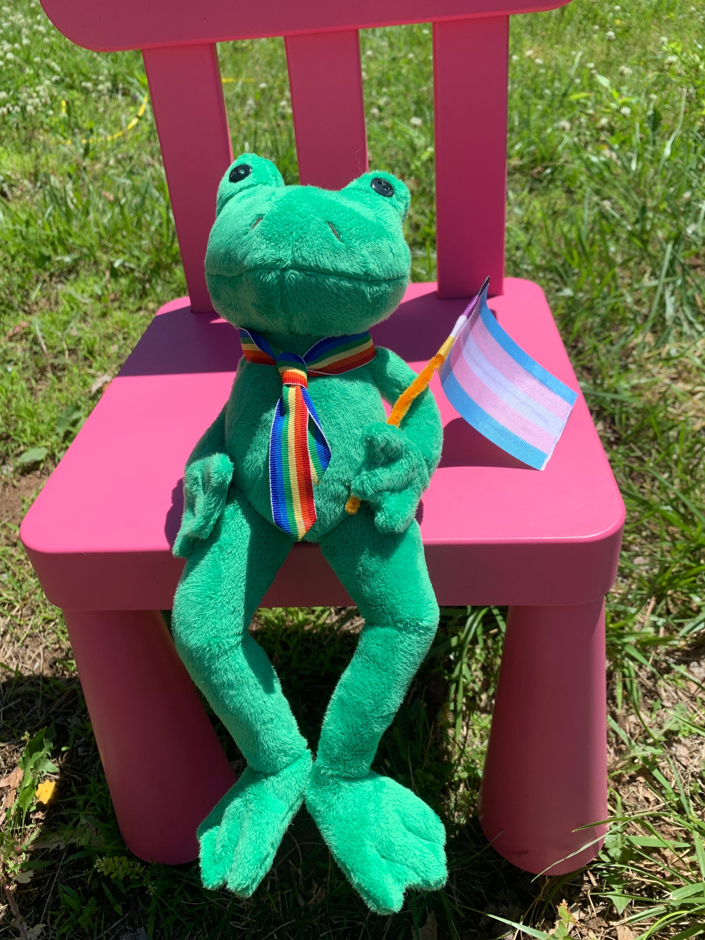 Pride Frog Collection