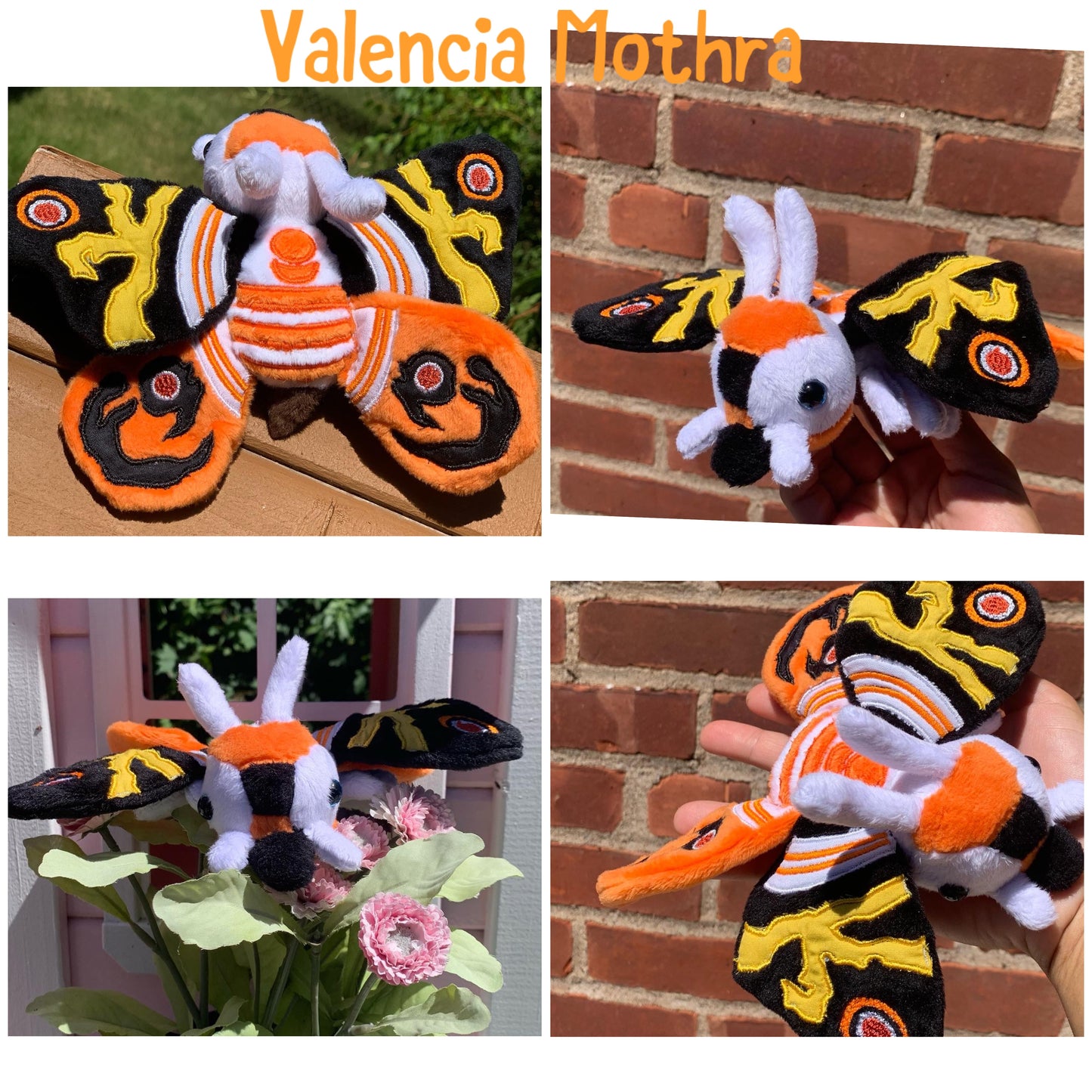 Mini Moth & Butterfly Collection