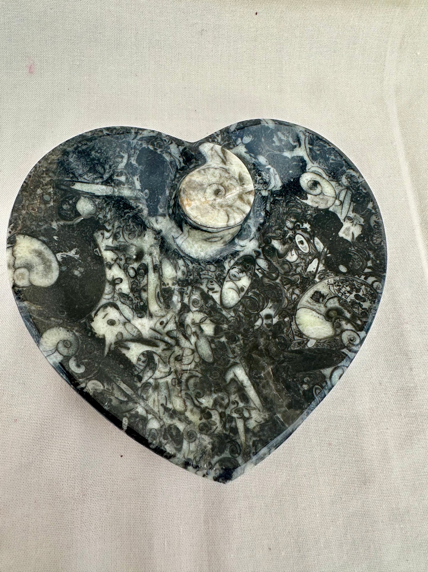 Ammonite Heart Dish
