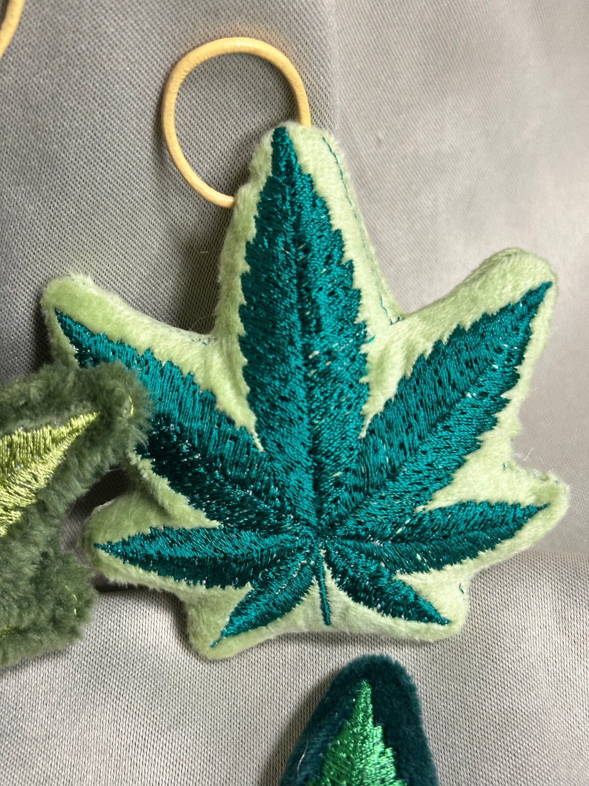 Canna Leaf Collection