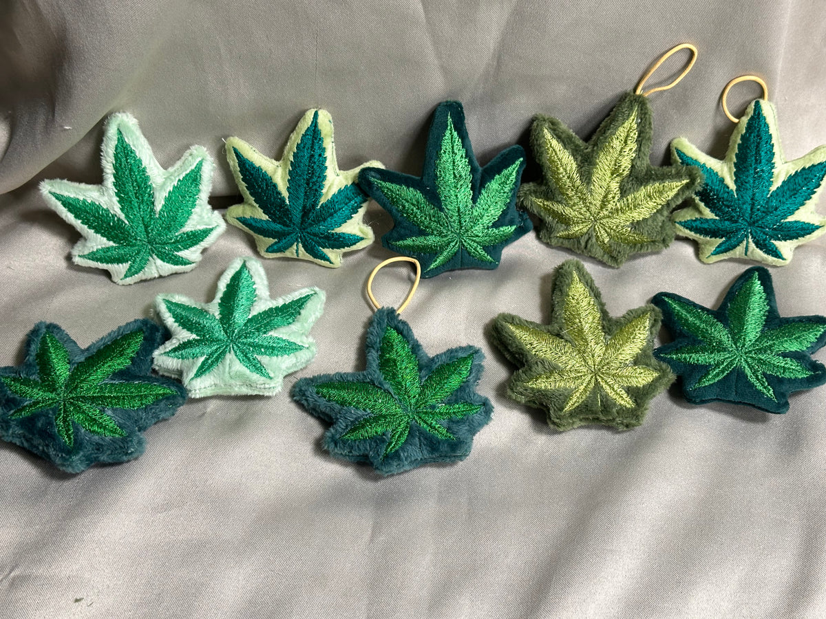 Canna Leaf Collection