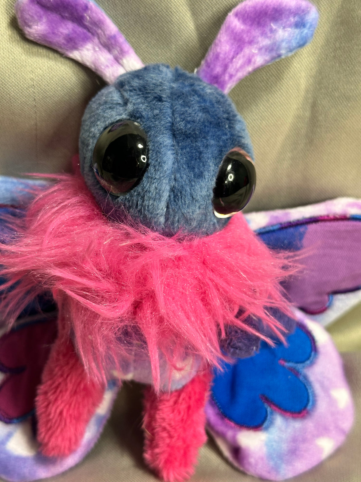 Pride Moths, Butterflies & Spiders