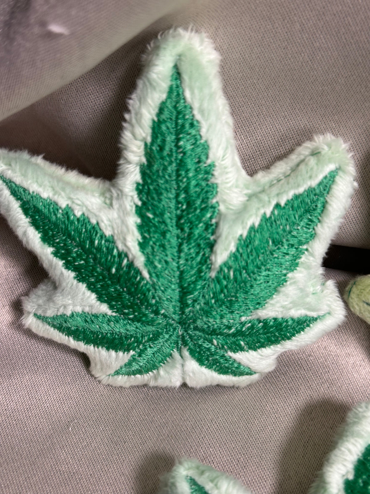 Canna Leaf Collection