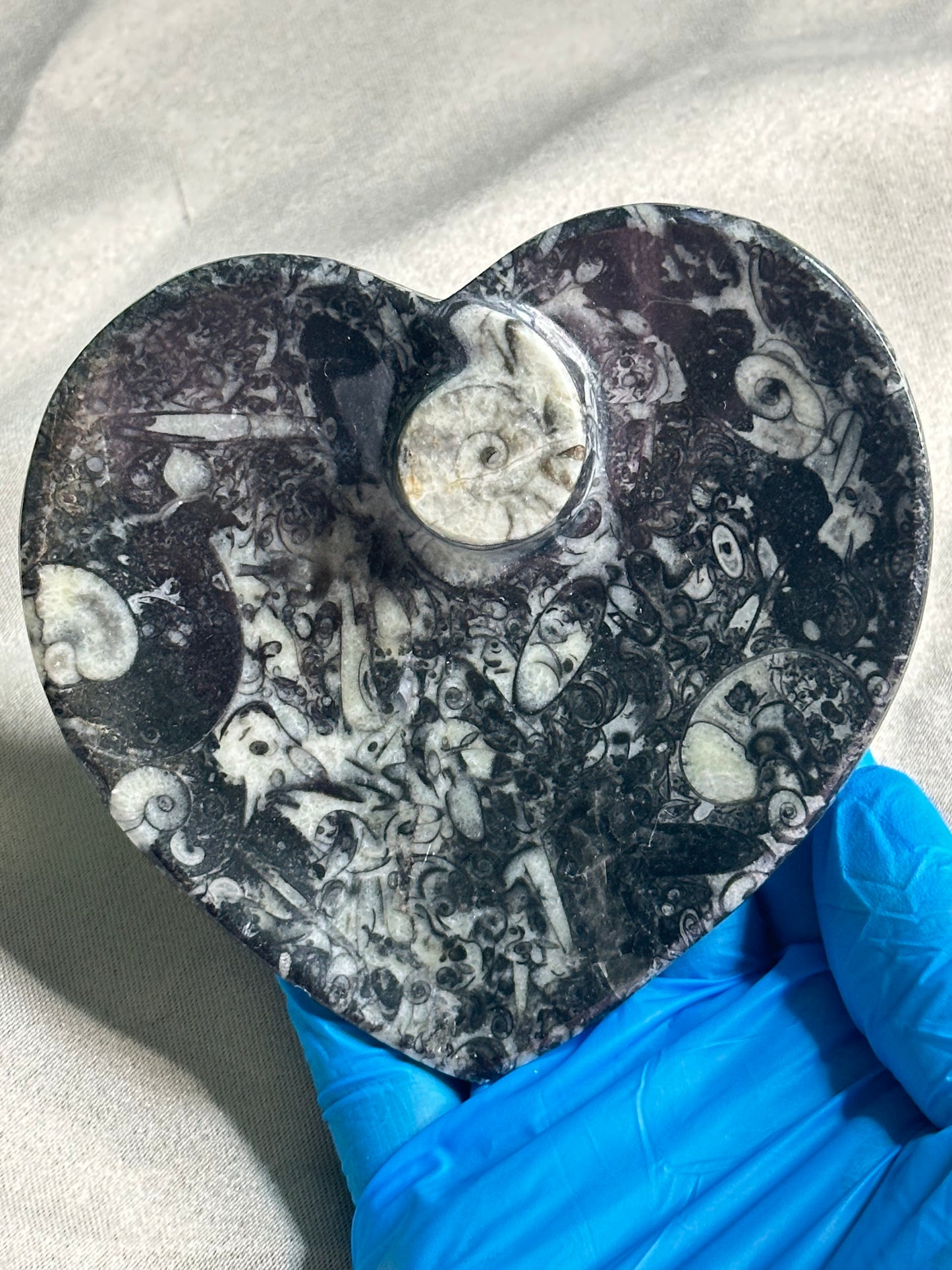 Ammonite Heart Dish