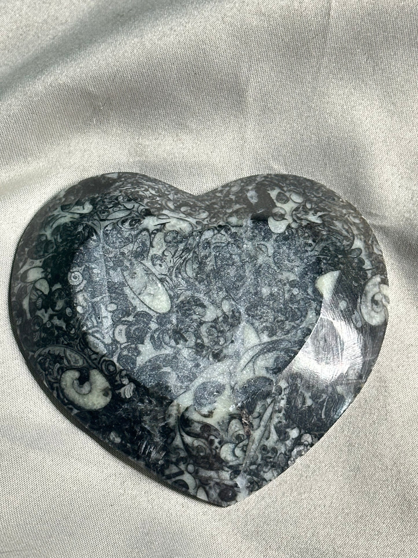Ammonite Heart Dish