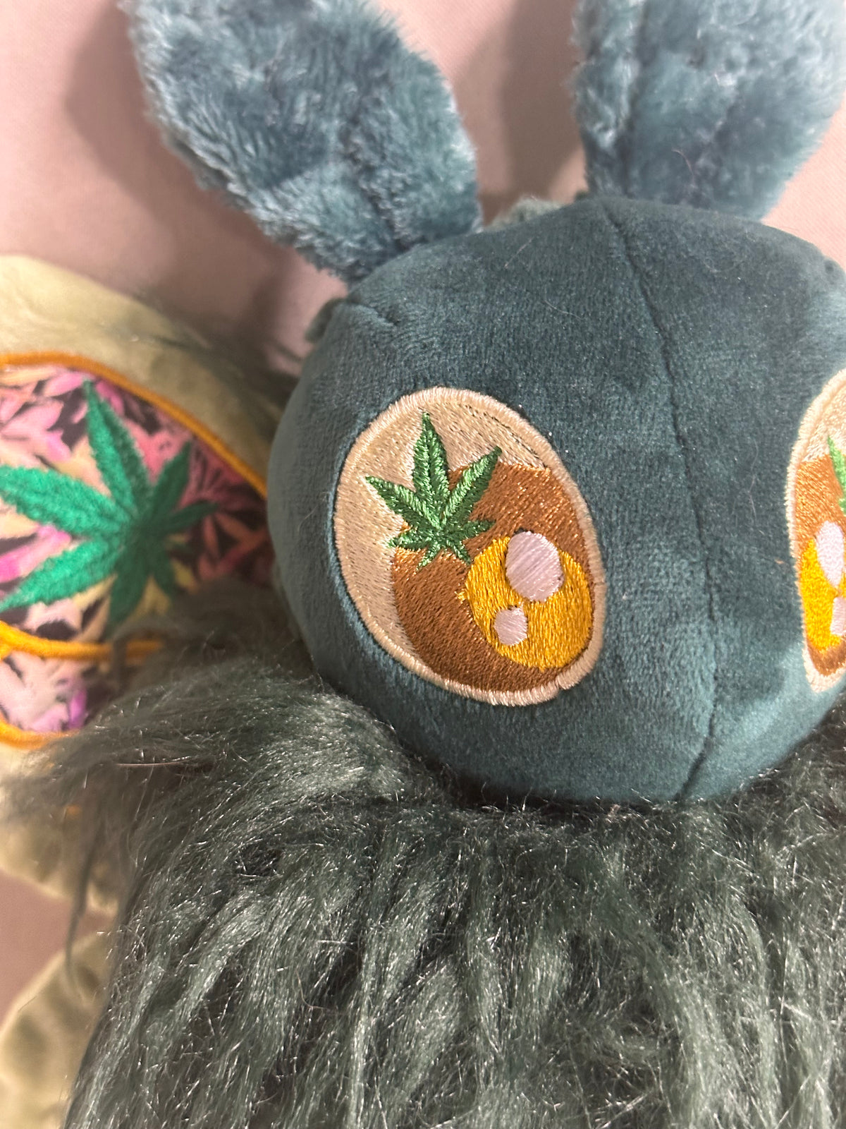 Mary Jane the Canna Moth