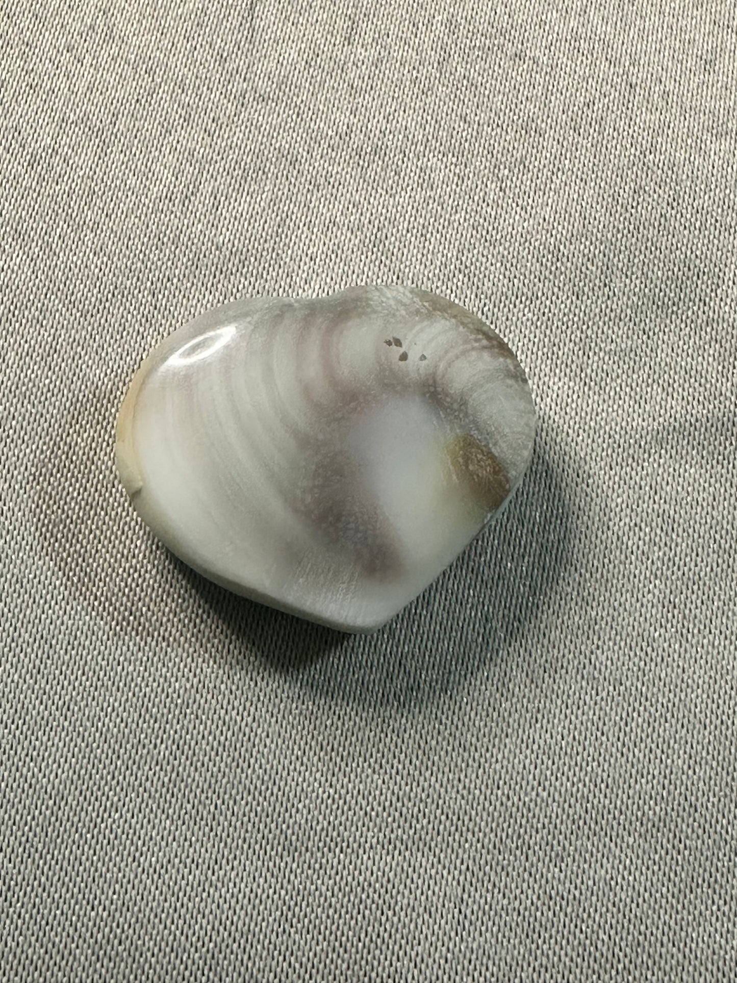 Sun Shell Hearts