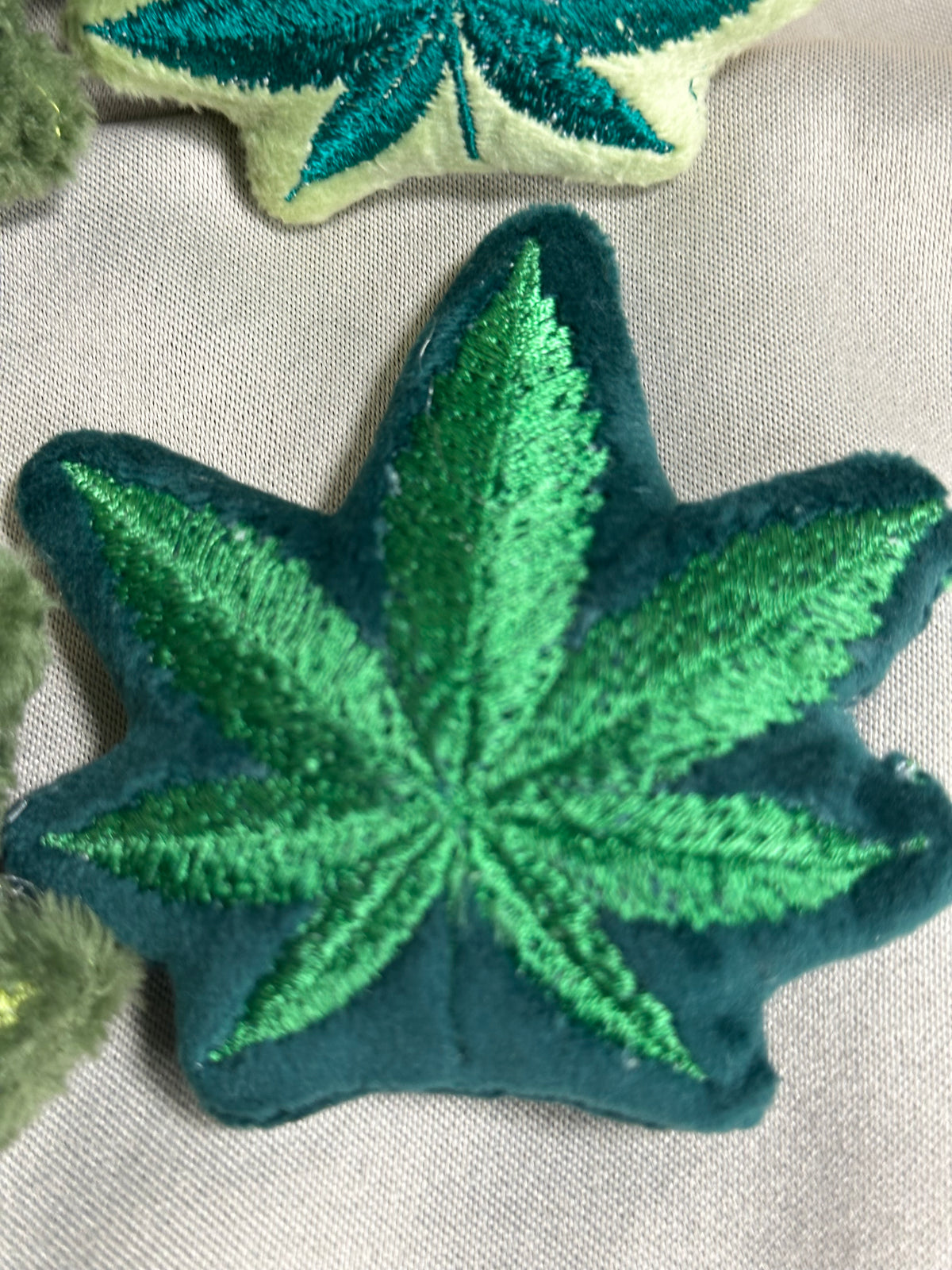 Canna Leaf Collection