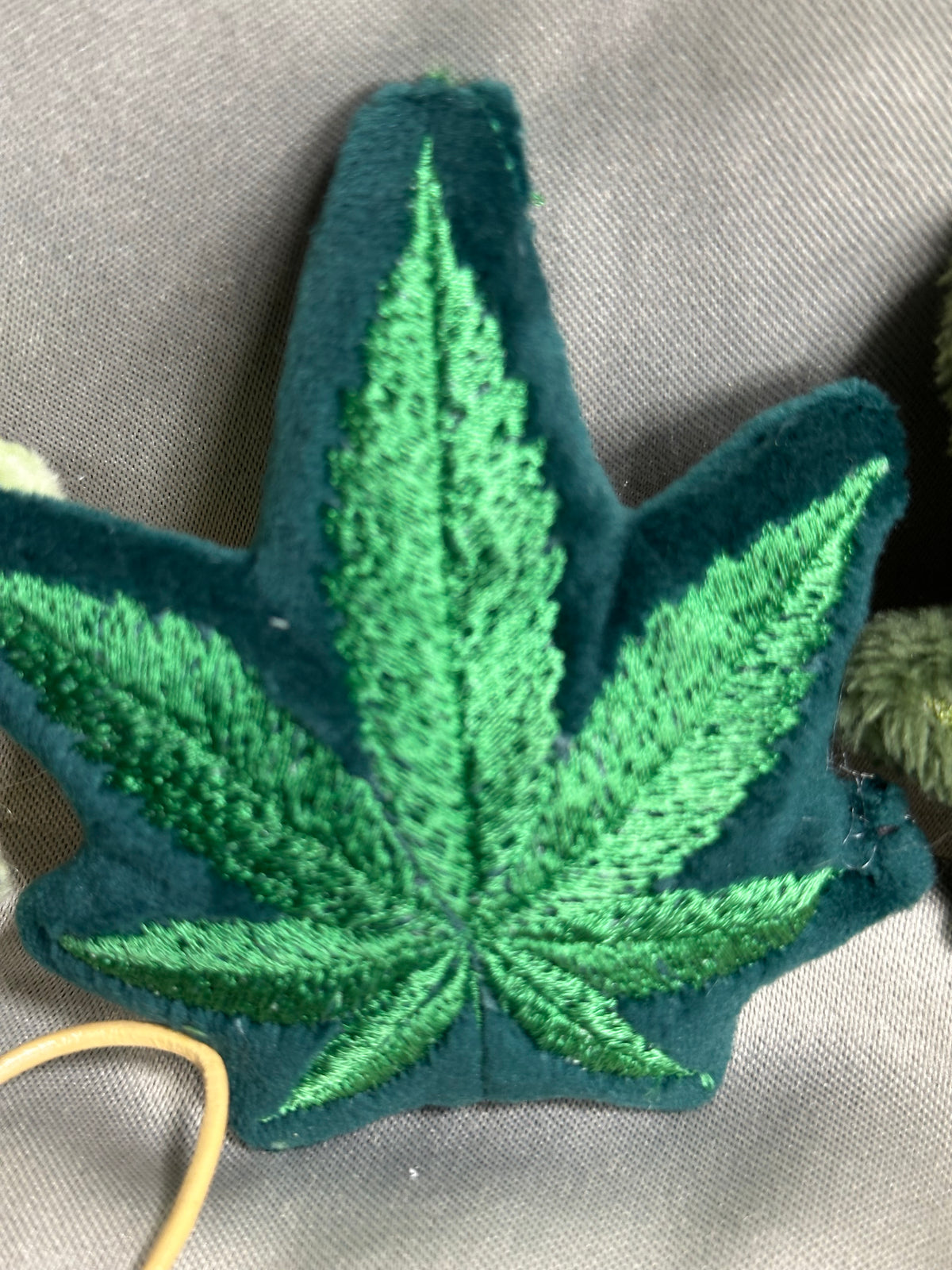 Canna Leaf Collection