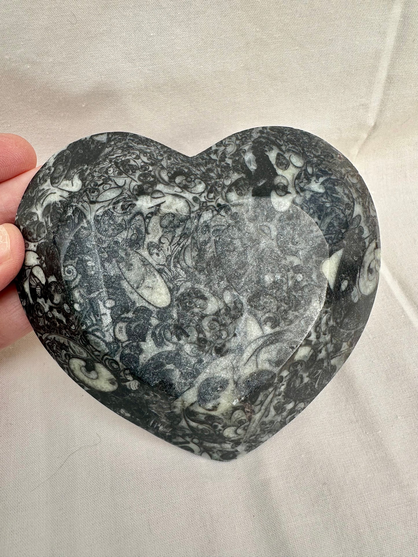 Ammonite Heart Dish