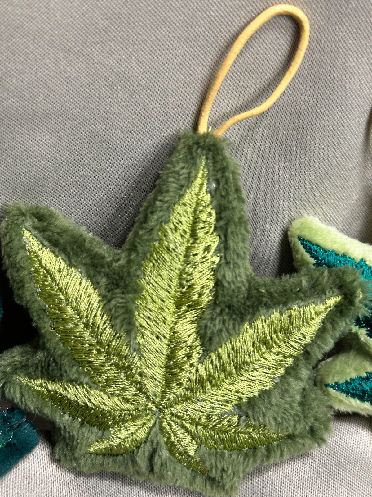 Canna Leaf Collection