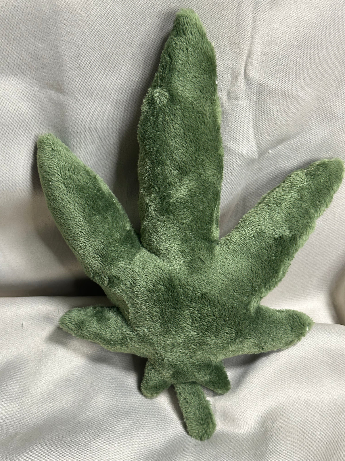 Canna Leaf Collection
