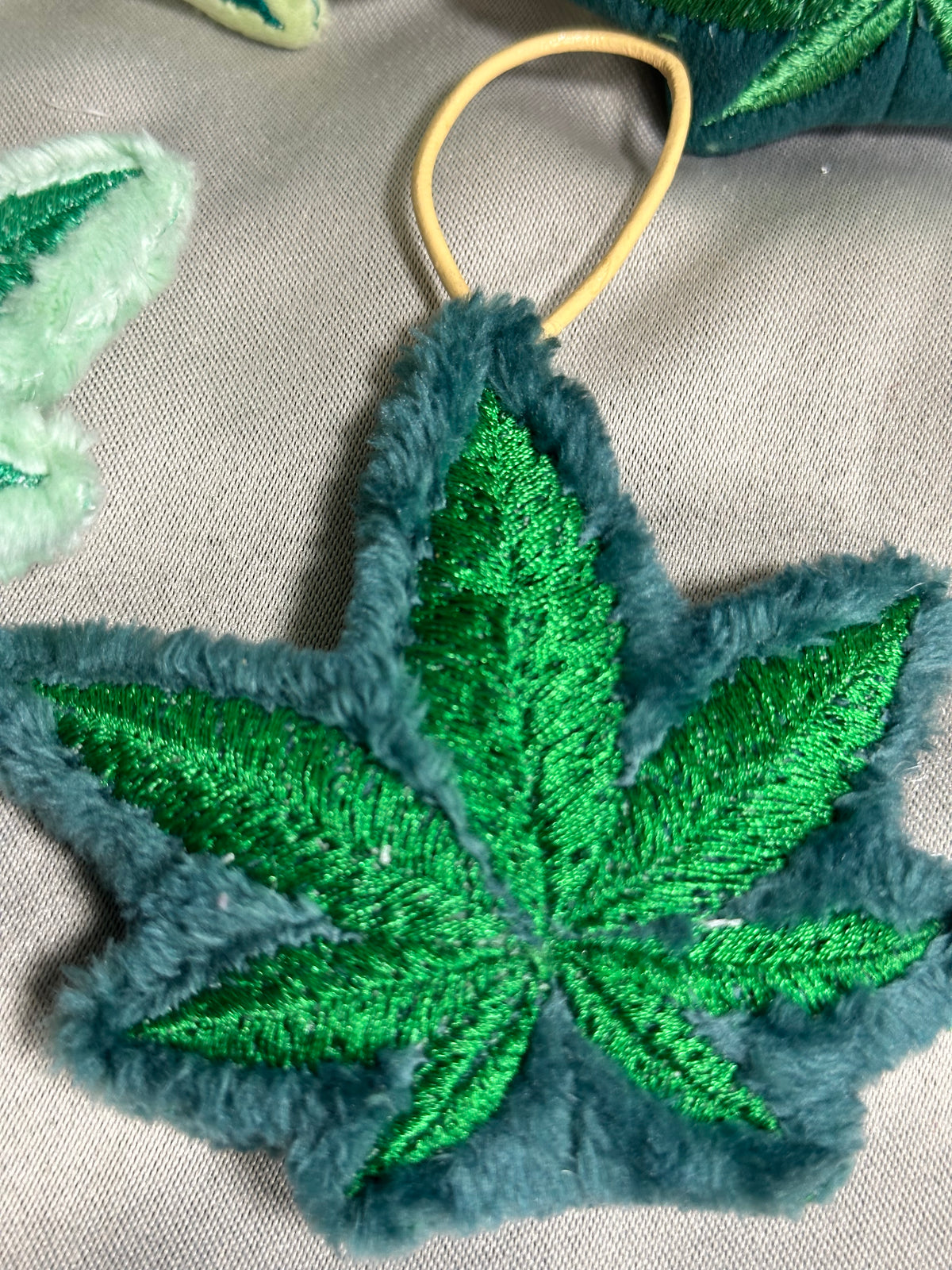 Canna Leaf Collection