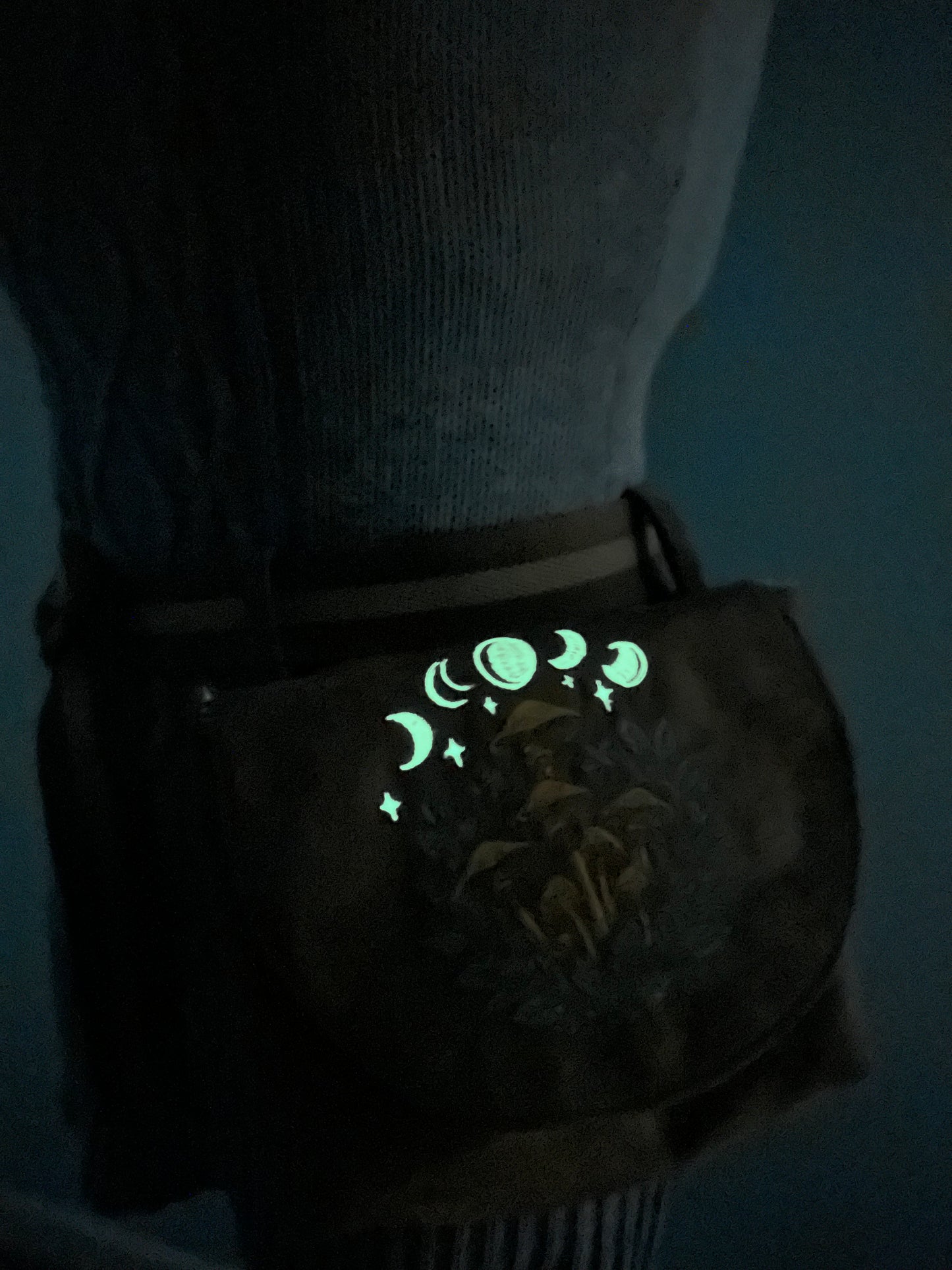 Embroidered Hip Satchels