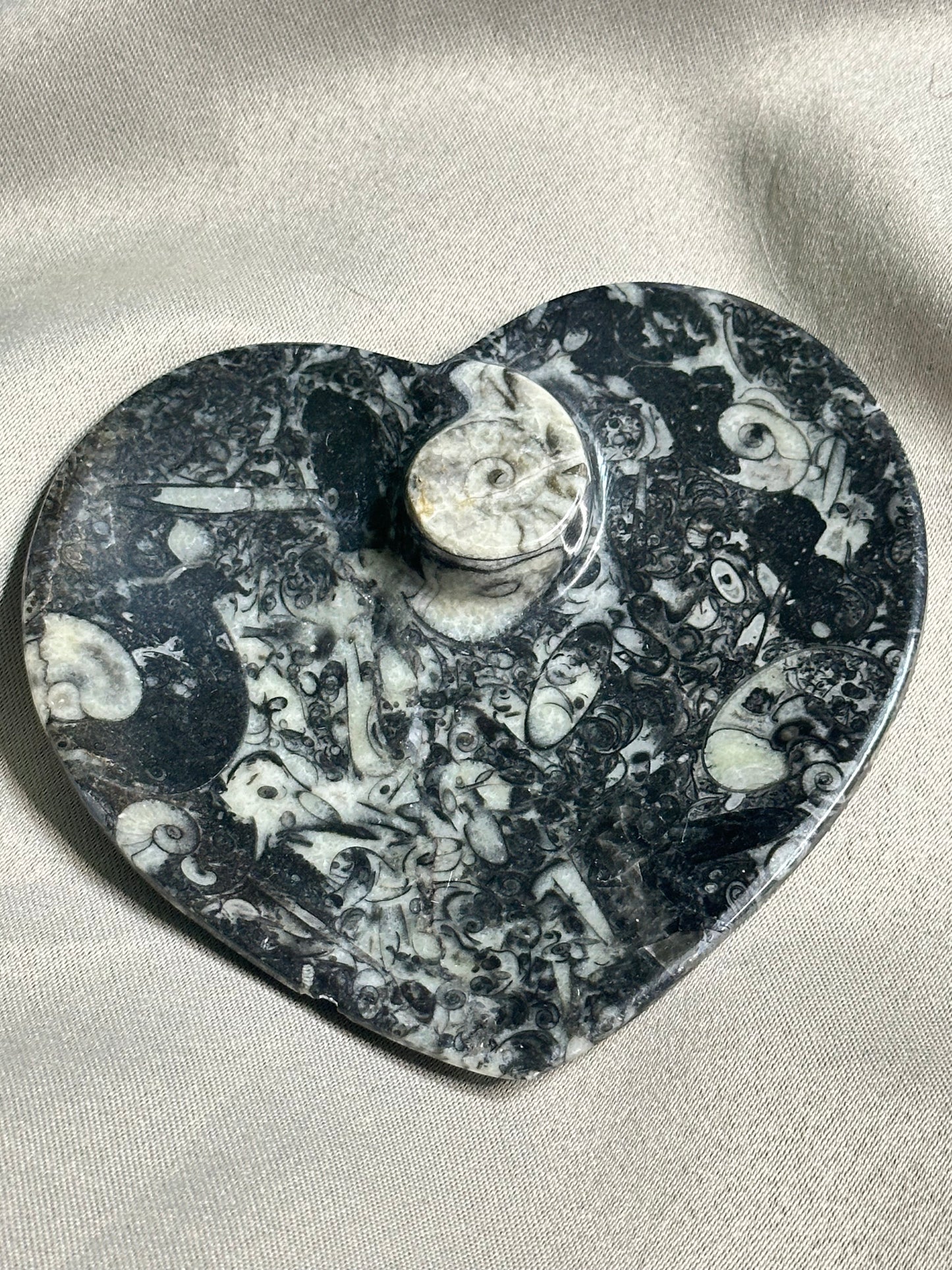 Ammonite Heart Dish