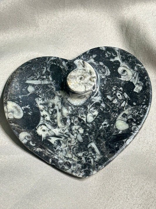 Ammonite Heart Dish