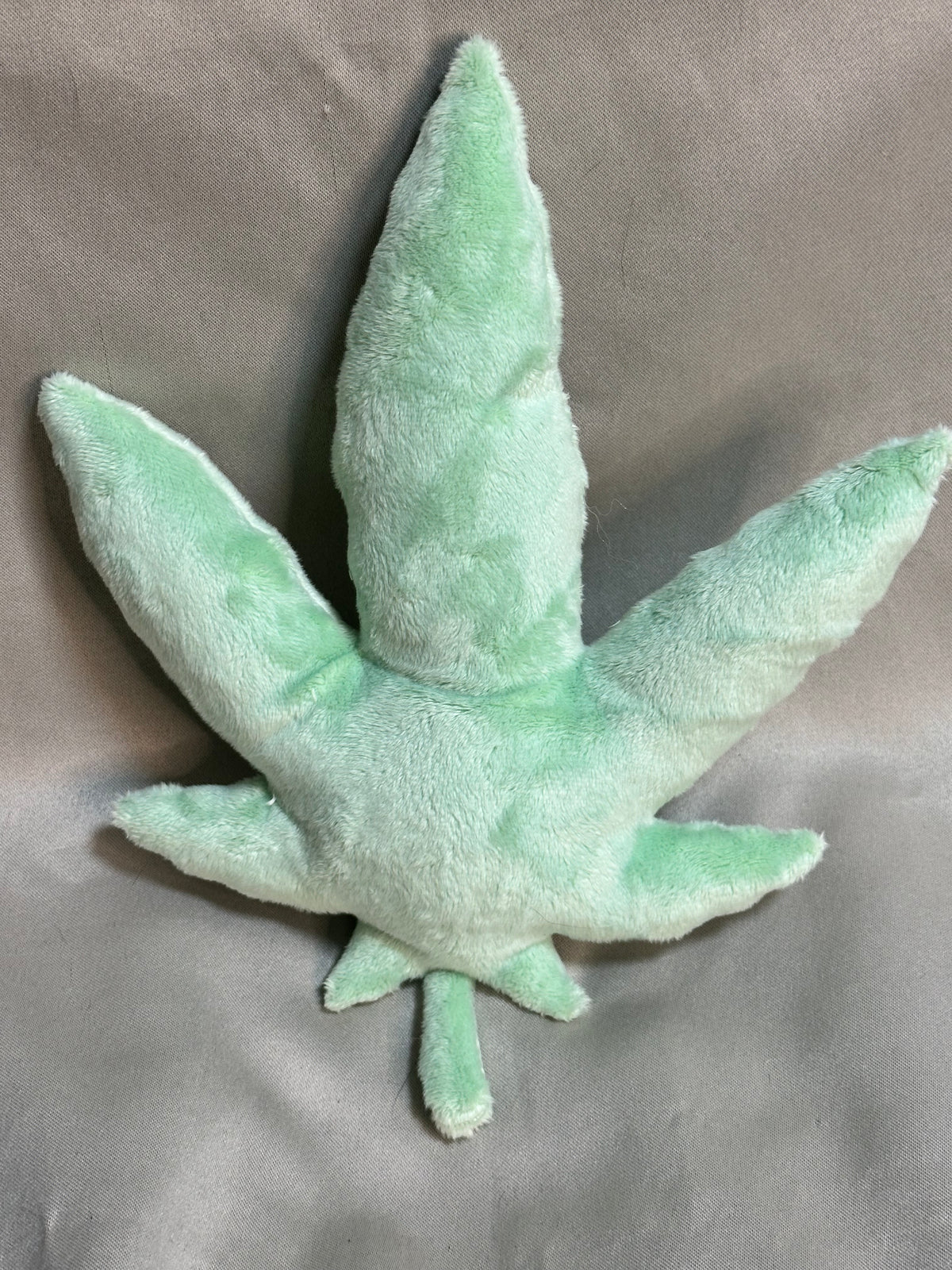 Canna Leaf Collection