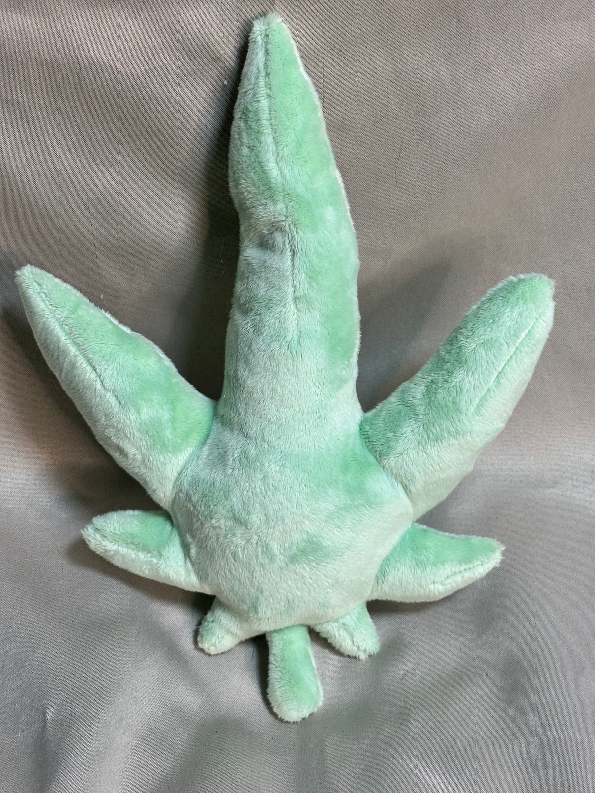 Canna Leaf Collection