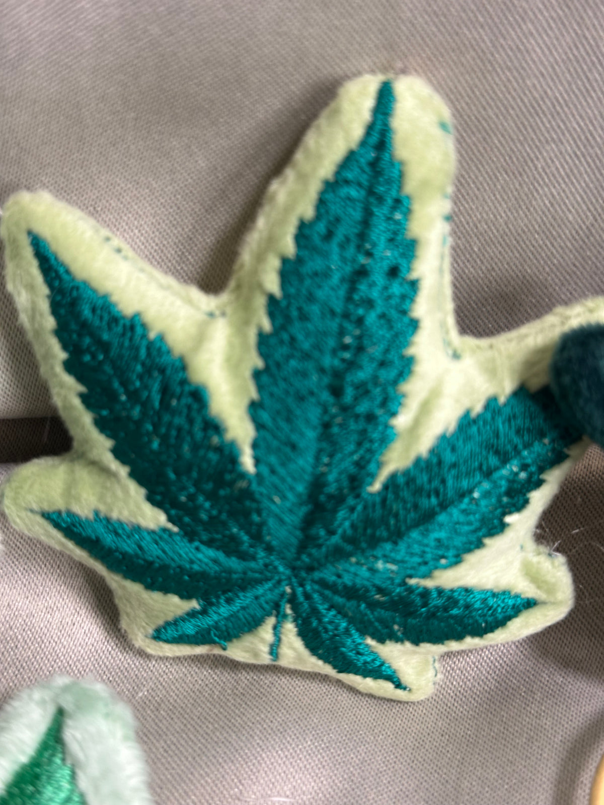 Canna Leaf Collection