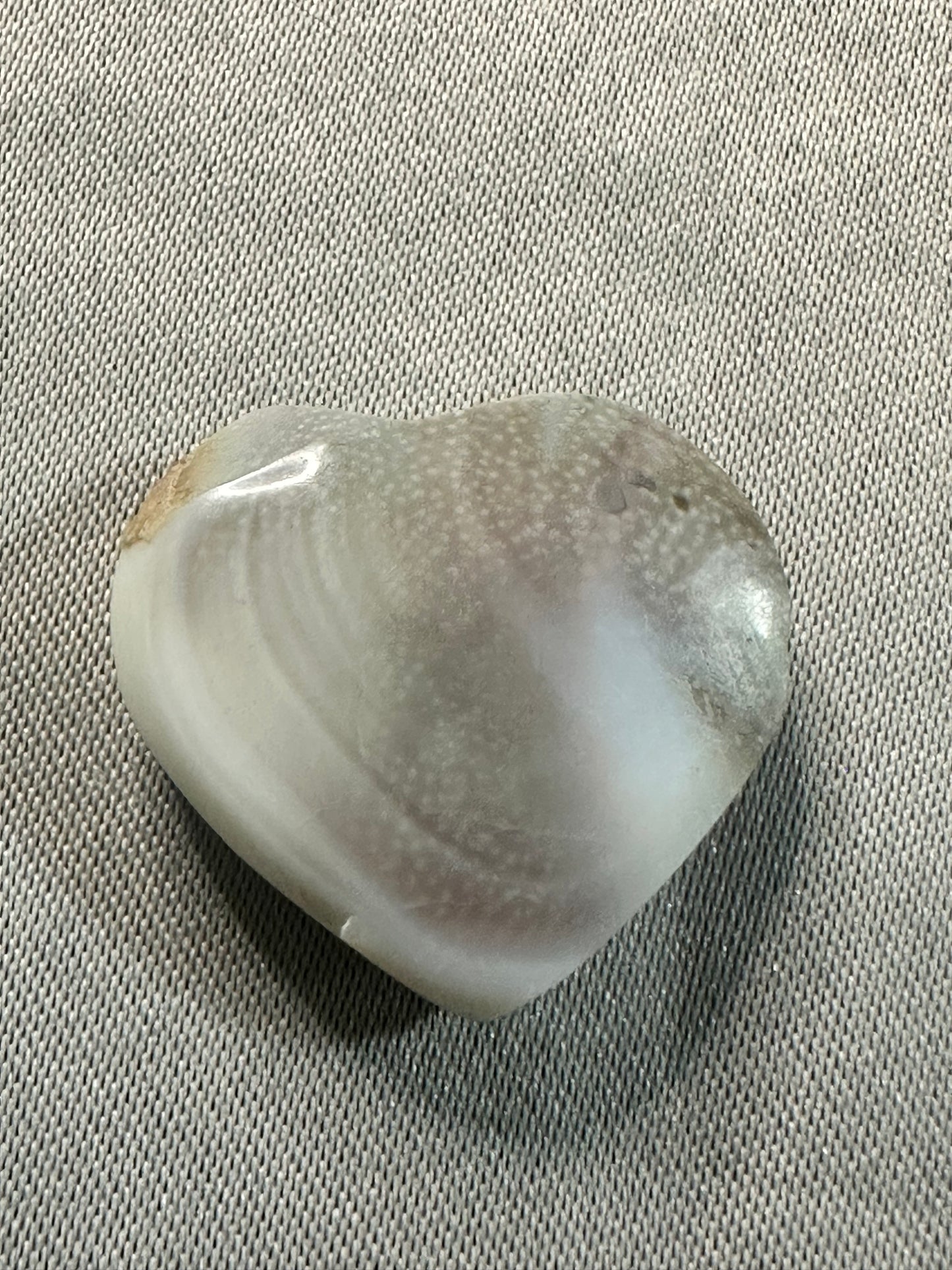 Sun Shell Hearts