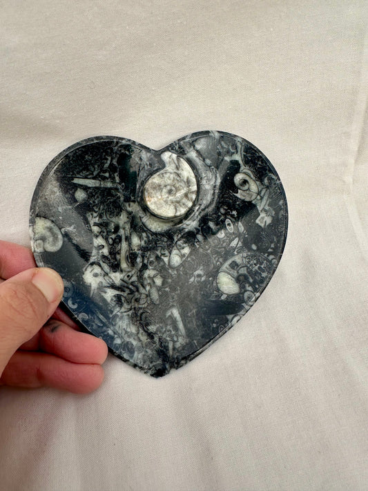 Ammonite Heart Dish