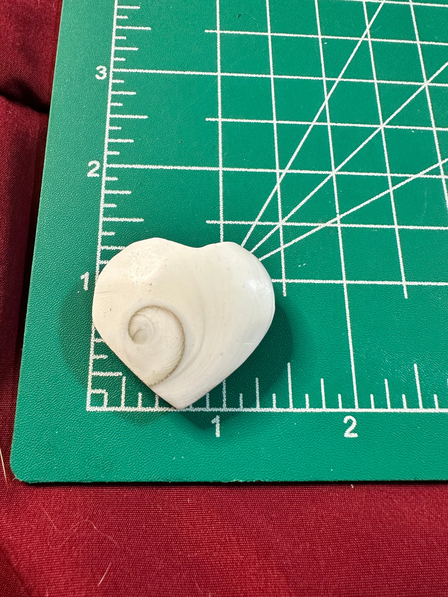 Sun Shell Hearts