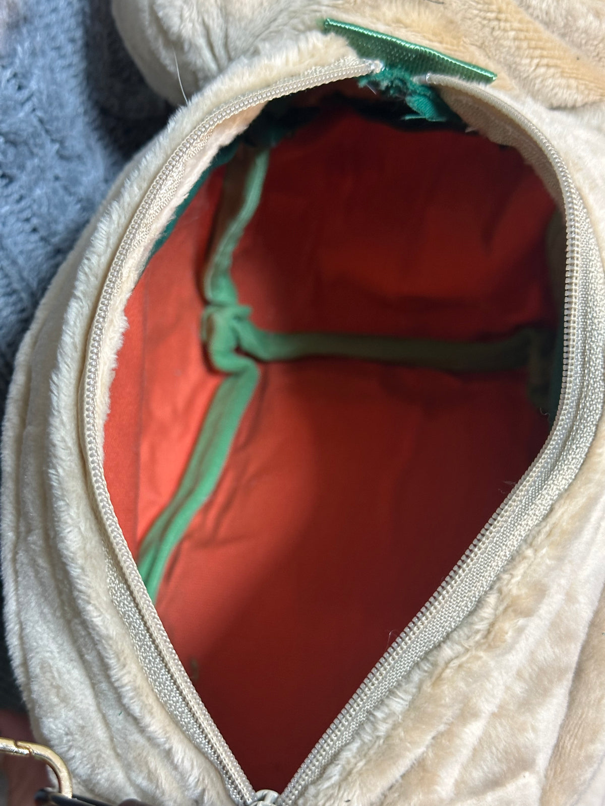 Capybagra Bag