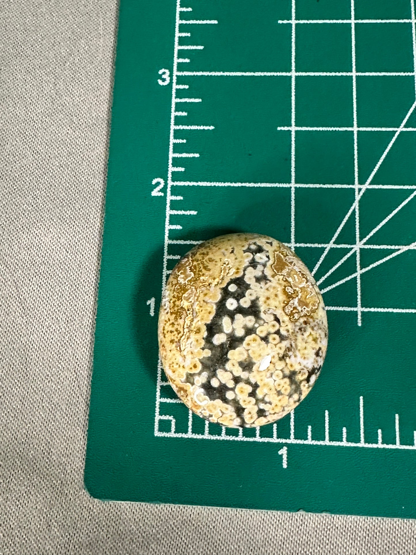 Ocean Jasper Palm Stones