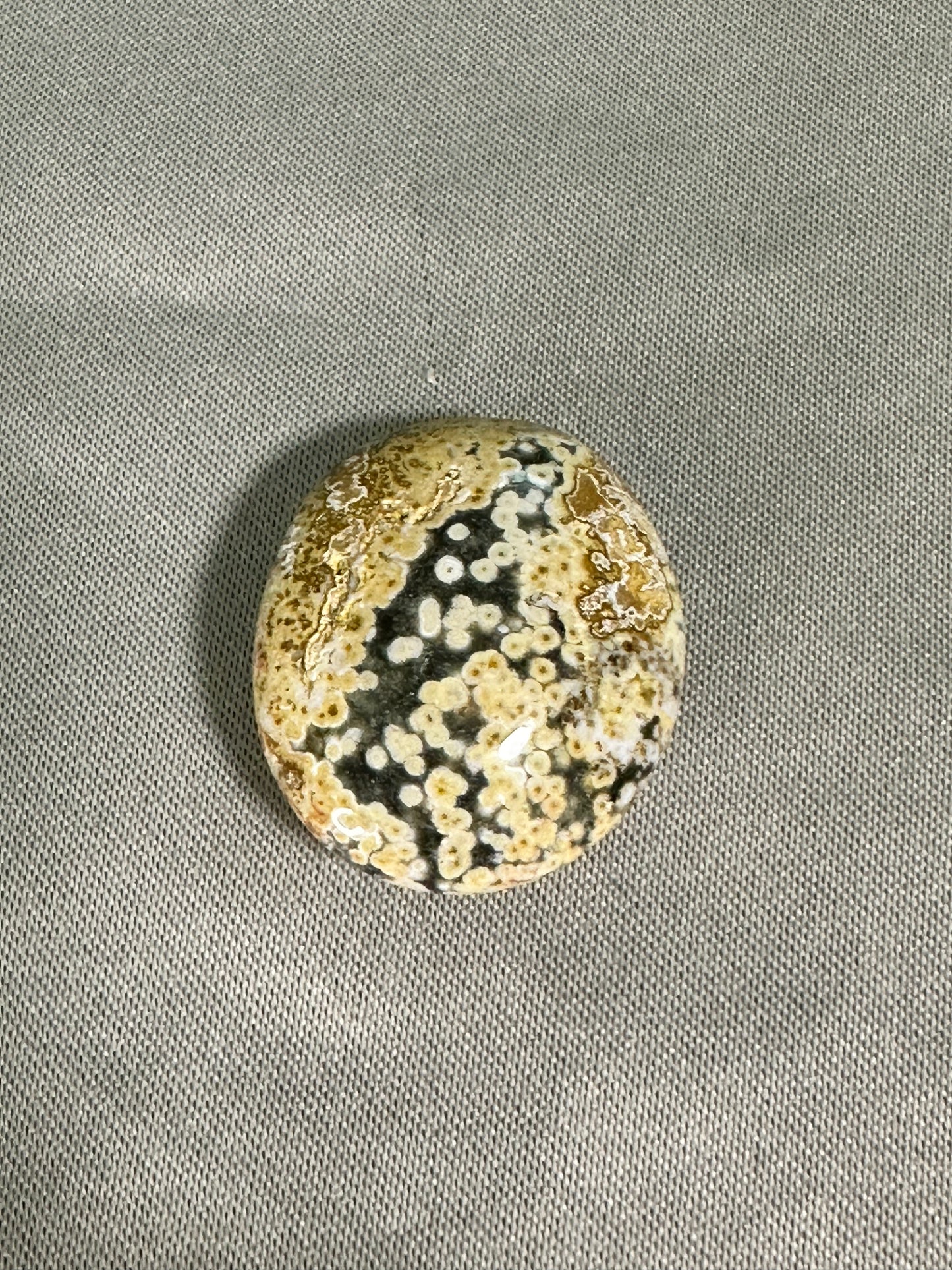 Ocean Jasper Palm Stones